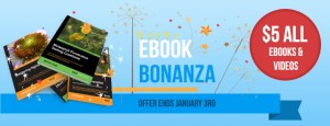 $5 ebook Bonanza1 template 1
