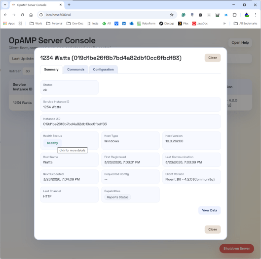 Basic agent summary view